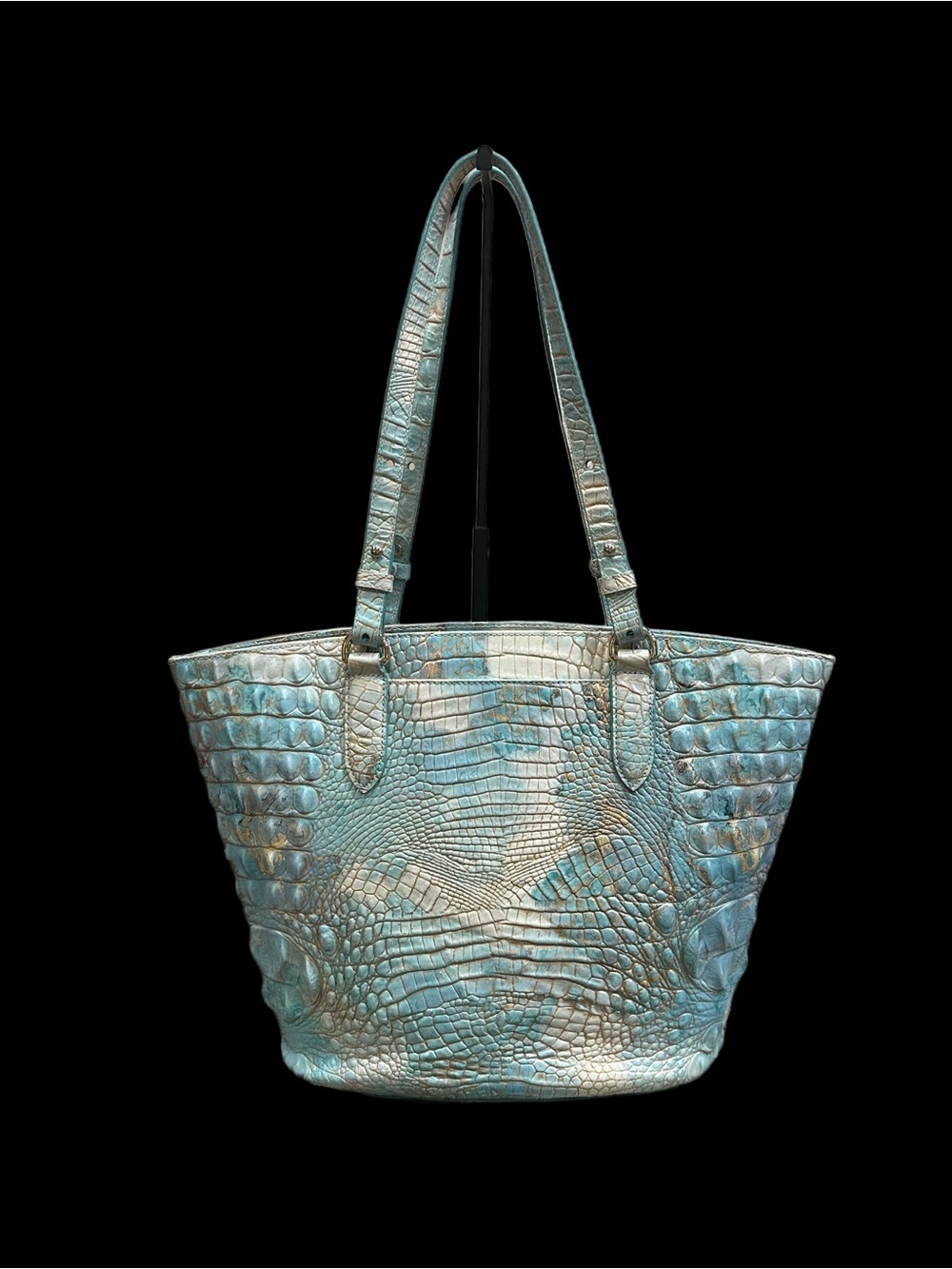 Brahmin - Picture 3 of 10